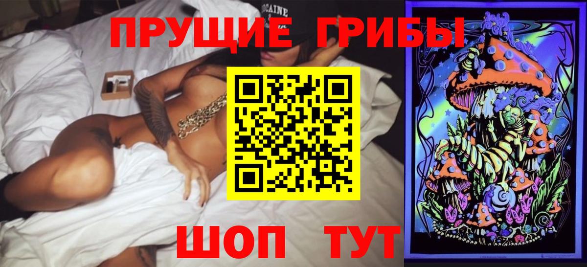Галлюциногенные грибы MAGIC MUSHROOMS  Вход с VPN  Вологда 