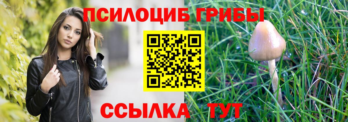 Галлюциногенные грибы Psilocybine cubensis Вологда